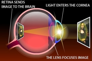 How the eye sees images