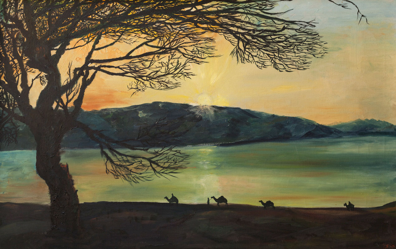 Painting By Dr. Haddad - Desert Night  